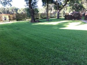 landscaping Lakeland