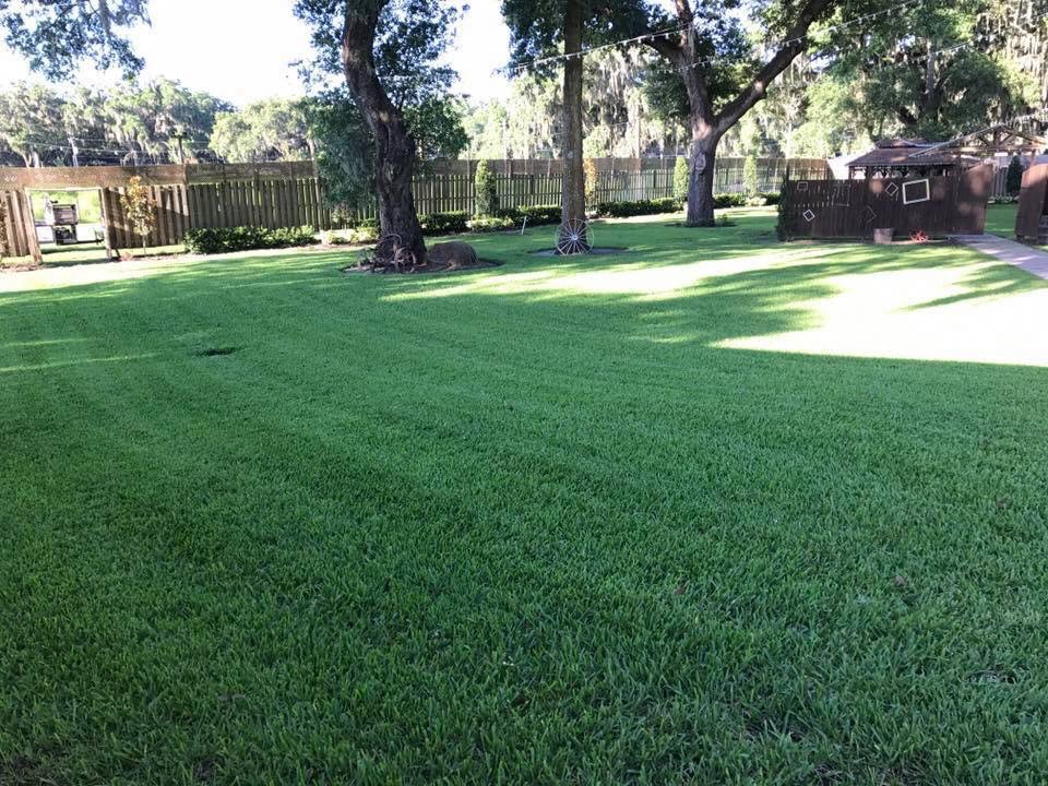 landscaping Lakeland