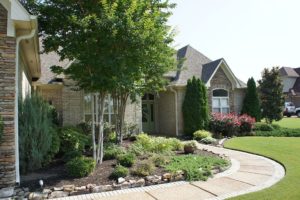 Landscaping in Lakeland Need Professional