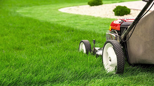 Lawn Mowing Lakeland