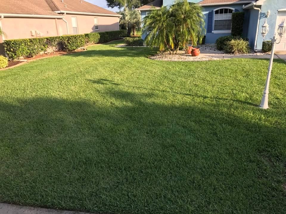 Lakeland mowing service