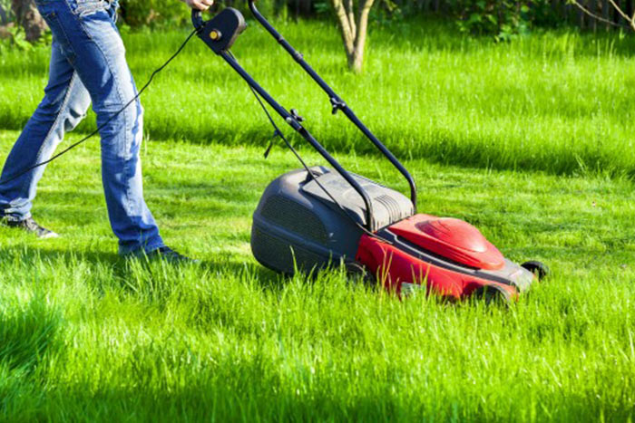 Make a Statement of Pride in Your Property with Our Professional Lakeland Lawn Mowing Service