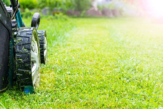 Make Your Life Easier This Year with Our Regular Winter Haven Lawn Mowing Services